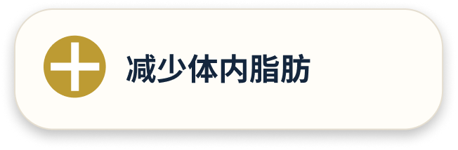 减少体内脂肪