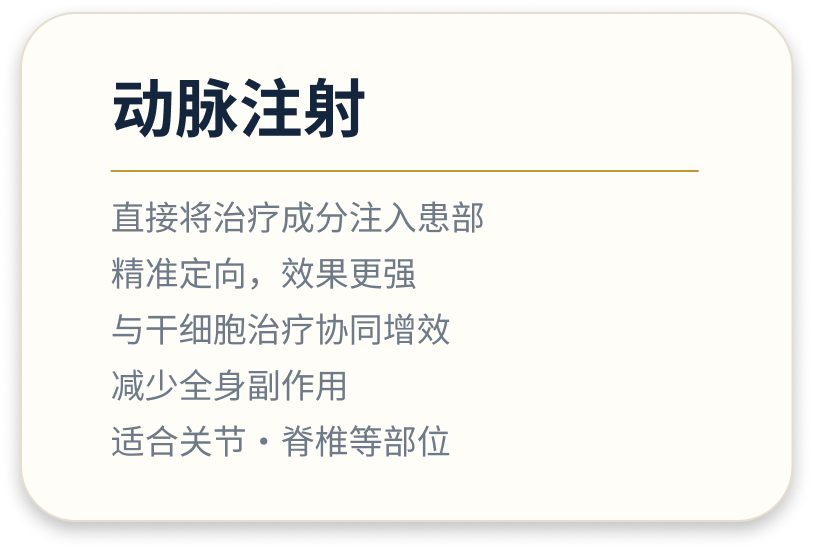 动脉注射